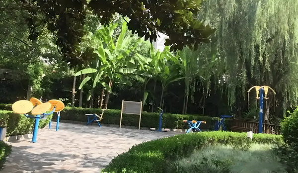 明代仕女育成记