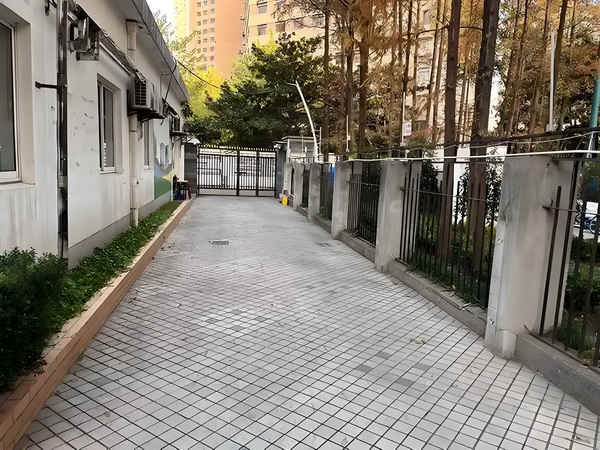 飞玉清扬